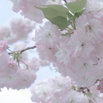 河源福瑞交流群